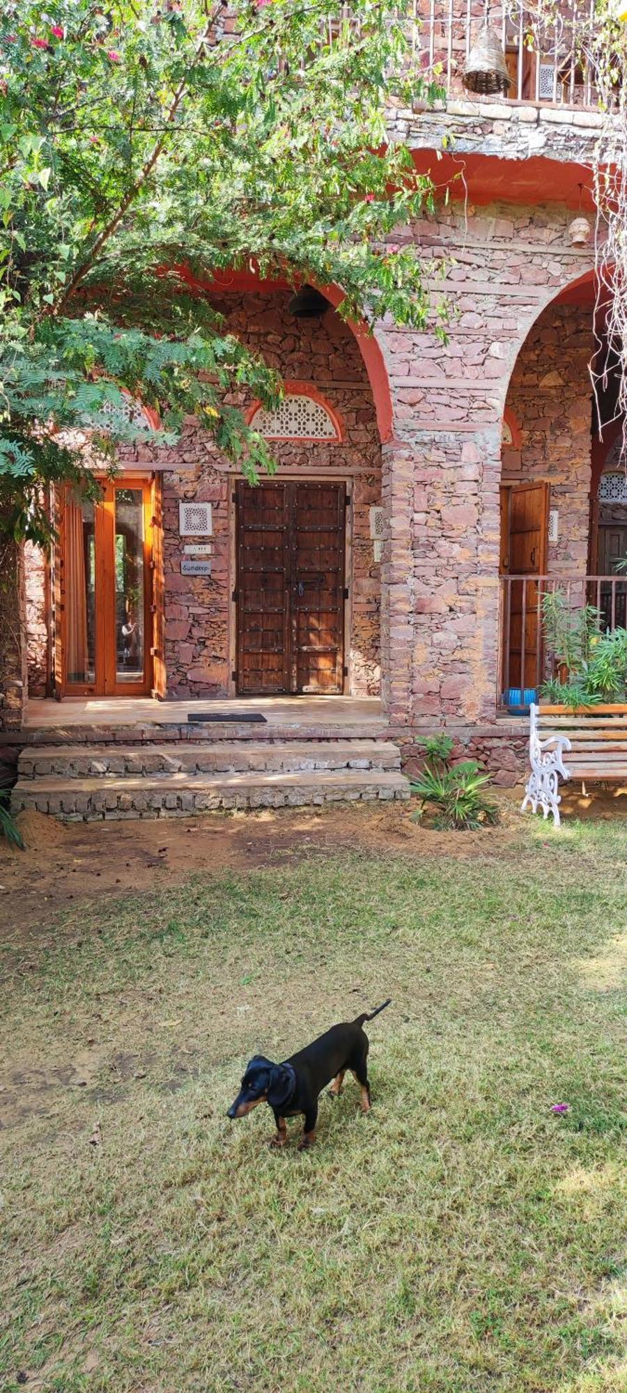 푸쉬카르 The Secret Garden B&B 외부 사진