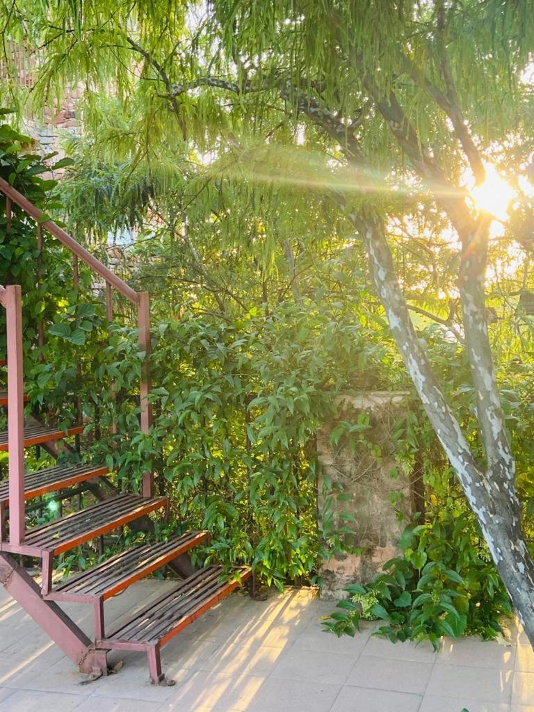 푸쉬카르 The Secret Garden B&B 외부 사진