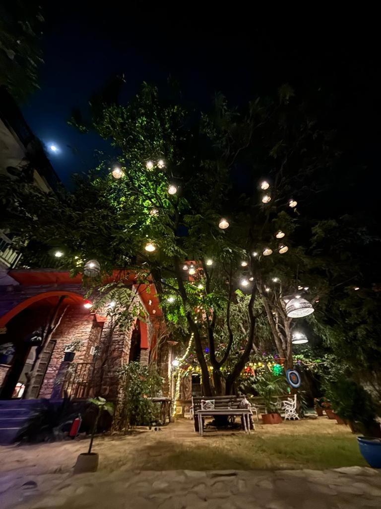 푸쉬카르 The Secret Garden B&B 외부 사진